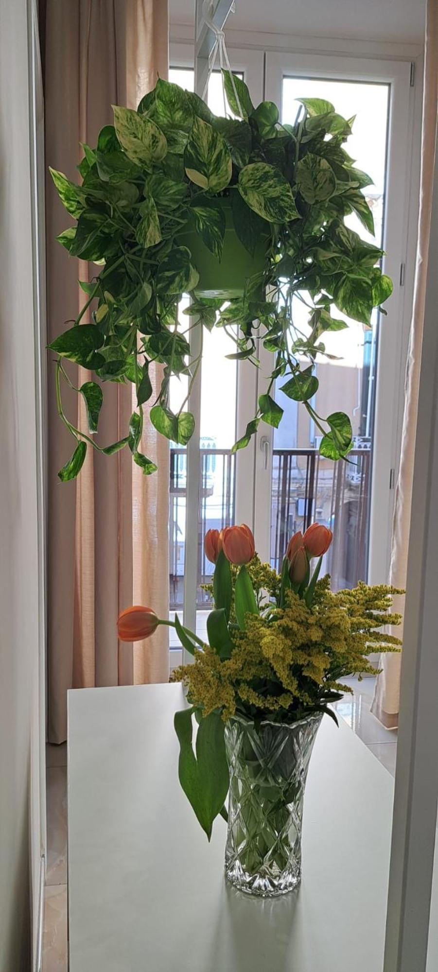 B&B Al Corso Пагани Екстериор снимка